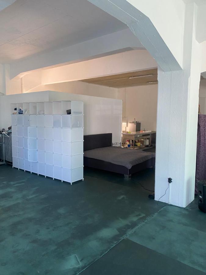 Apartment Big One Event Loft Gastro Kitchen, 200qm, Up To 8 Beds